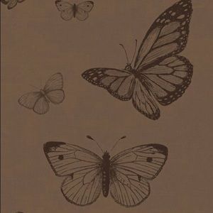 Meet your Posher, Ella